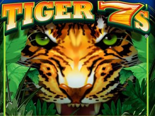 타이거 7's Tiger 7's