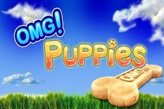 오엠지! 퍼피스 OMG! Puppies