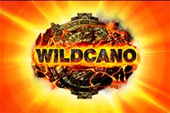 와일드카노 Wildcano