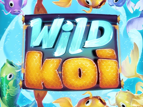 와일드 코이 Wild Koi