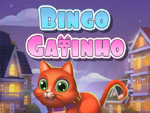 빙고 가티뉴 Bingo Gatinho