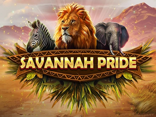 사바나 프라이드 Savannah Pride