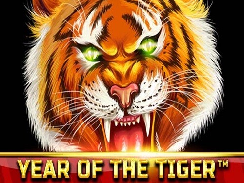 이어 오브 더 타이거 Year of the Tiger