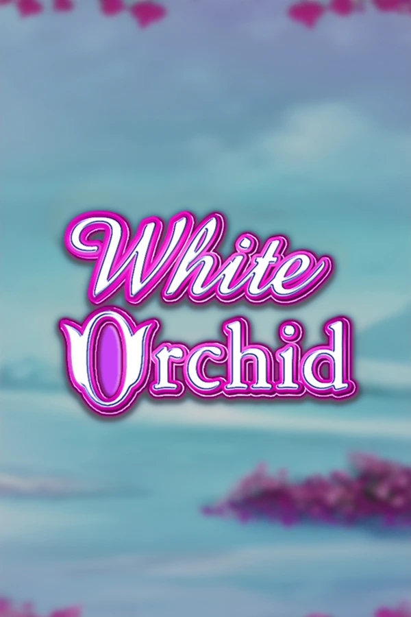 화이트 오키드 White Orchid