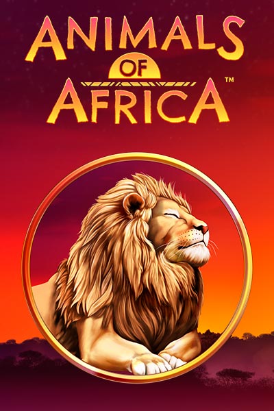 애니멀스 오브 아프리카 Animals Of Africa