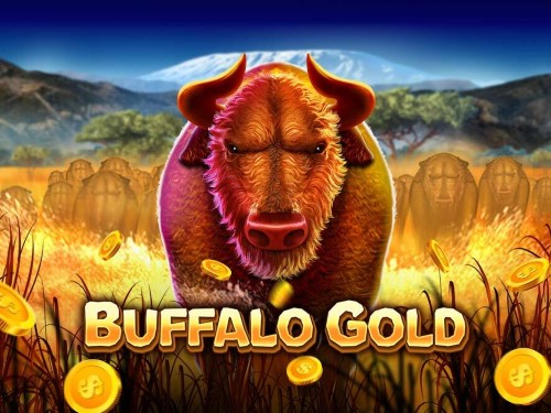 버팔로 골드 Buffalo Gold