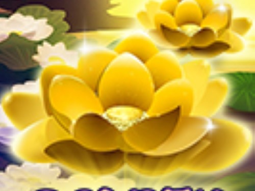 골든 로터스 Golden Lotus