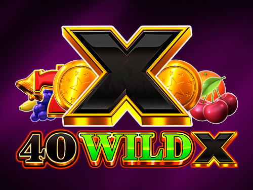 40 와일드 X
