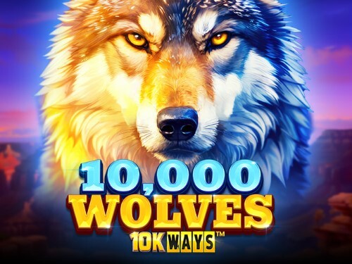 10,000 울브스 10K 웨이즈 10,000 Wolves 10K Ways