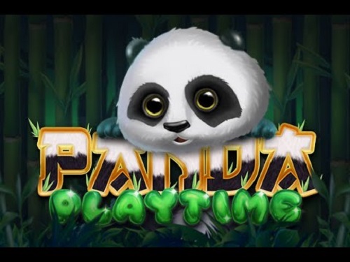 판다 플레이타임 Panda Playtime 