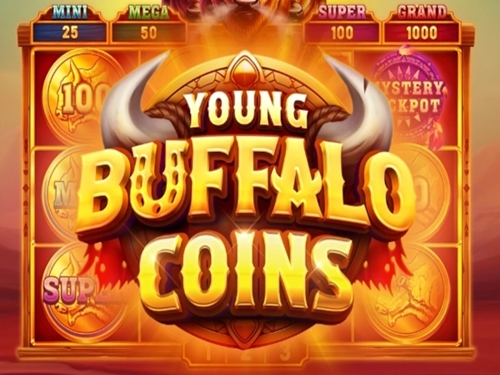 영 버팔로 코인스 Young Buffalo Coins