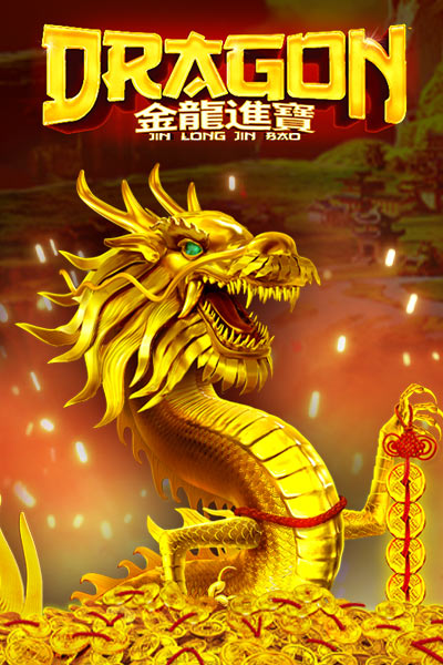 드래곤 진 롱 진 바오 Dragon Jin Long Jin Bao