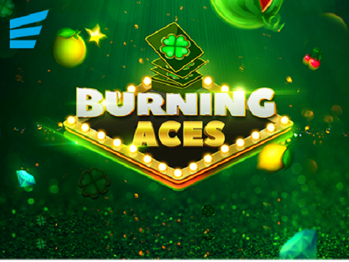 버닝 에이스 Burning Aces