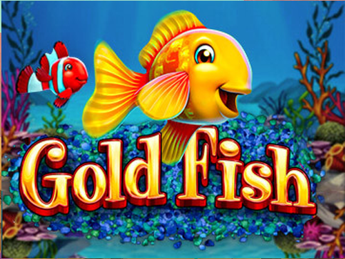 골드피쉬 Goldfish