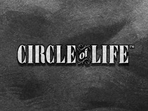 서클 오브 라이프 Circle of Life