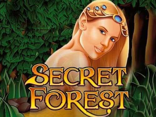시크릿 포레스트 Secret Forest