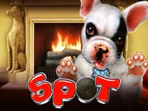 스팟 Spot
