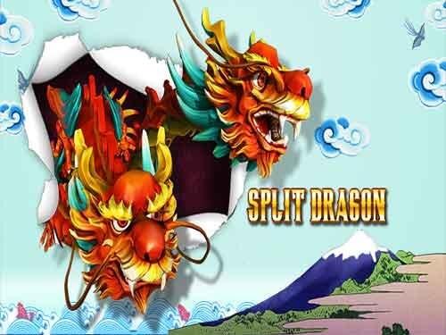 스플릿 드래곤 Split Dragon