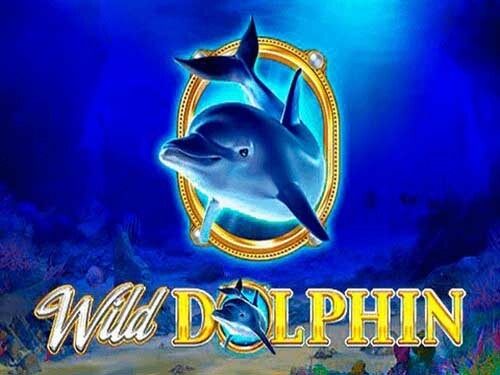 와일드 돌핀 Wild Dolphin