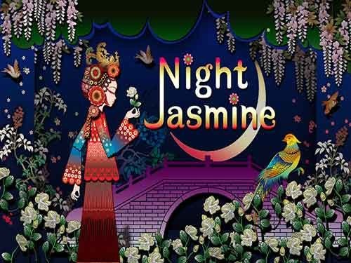 나이트 재스민 Night Jasmine