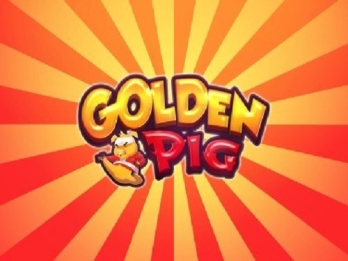 골든 피그 Golden Pig