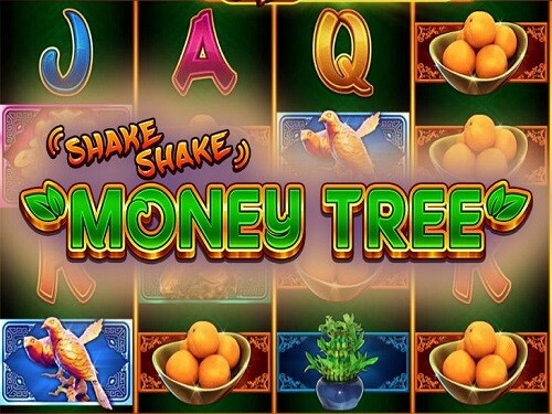 셰이크 셰이크 머니 트리 Shake Shake Money Tree