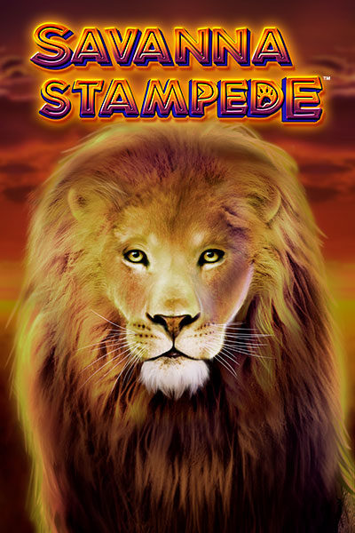 사바나 스탬피드 Savanna Stampede