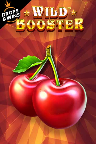 와일드 부스터 Wild Booster