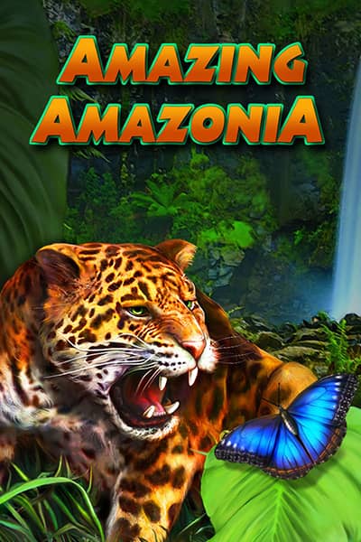 어메이징 아마조니아 Amazing Amazonia
