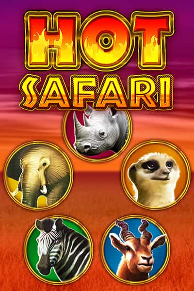 핫 사파리 Hot Safari