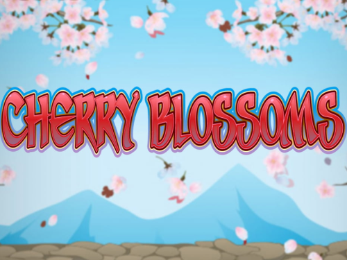 체리 블로섬 Cherry Blossom