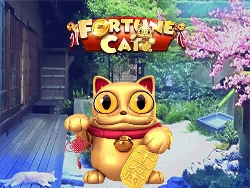 포춘 캣 Fortune Cat