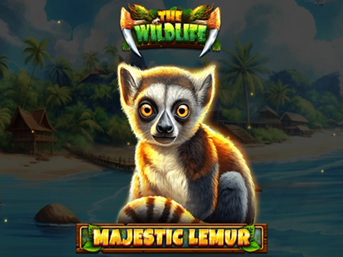 마제스틱 레무르 Majestic Lemur