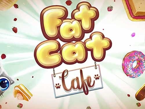 팻 캣 카페 Fat Cat Cafe