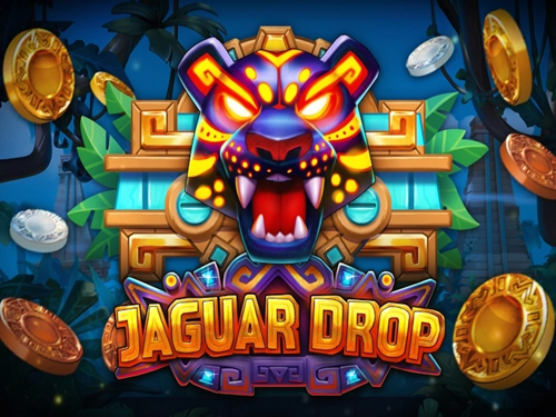 재규어 드롭 Jaguar Drop