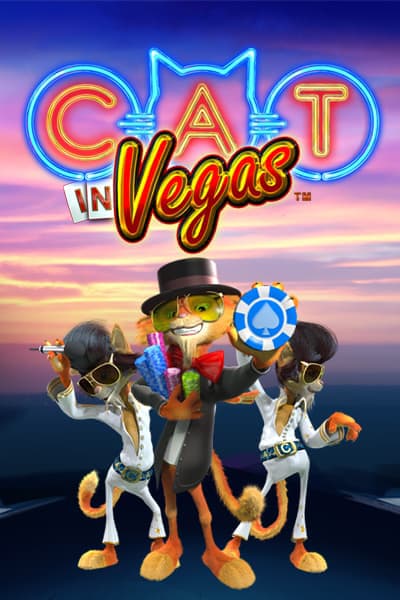 캣 인 베가스 Cat in Vegas