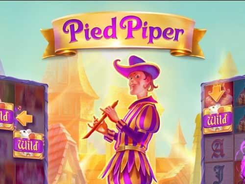 파이드 파이퍼 Pied Piper
