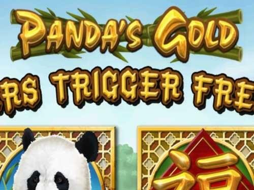 판다스 골드 Panda's Gold