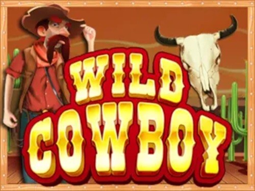 와일드 카우보이 Wild Cowboy