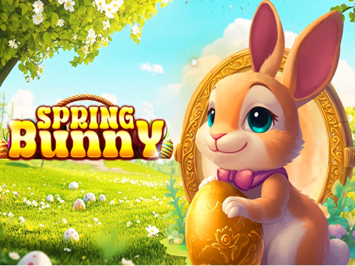 스프링 버니 Spring Bunny