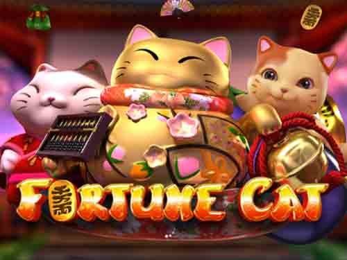 포춘 캣 Fortune Cat