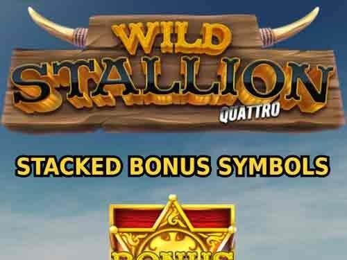 와일드 스탤리언 콰트로 Wild Stallion Quattro