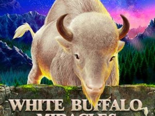 화이트 버팔로 미라클스 White Buffalo Miracles