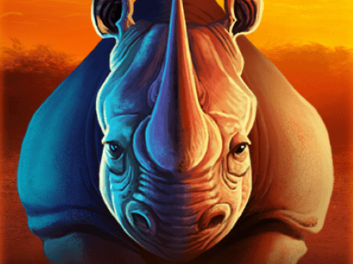 아프리칸 라이노 African Rhino