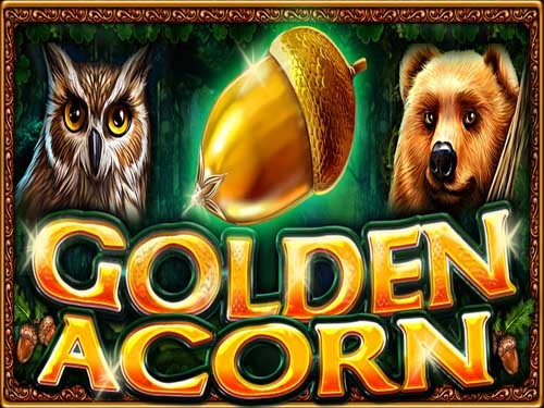골든 에이콘 Golden Acorn