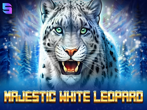 마제스틱 화이트 레오파드 Majestic White Leopard