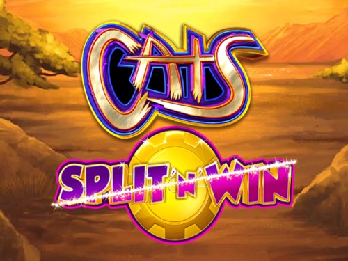 캐츠 스플릿 앤 윈 Cats Split 'n' Win