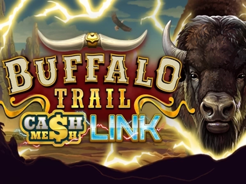 버팔로 트레일 캐시 메시 링크 Buffalo Trail Cash Mesh Link