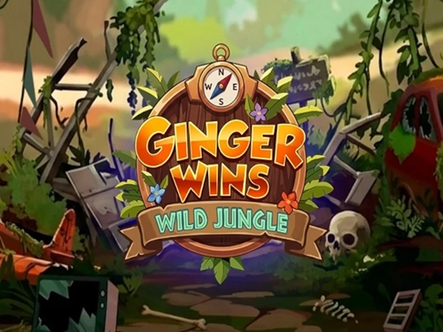 진저 윈스 Ginger Wins