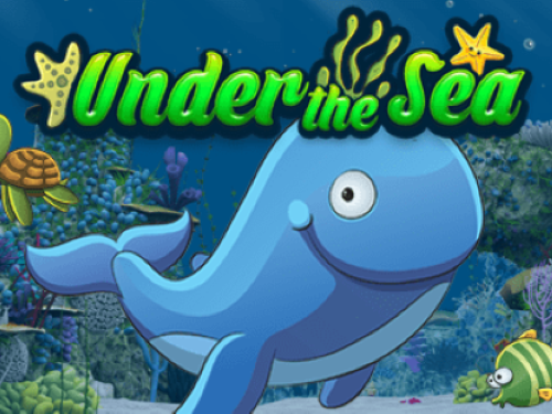 씨 스토리 Sea Story